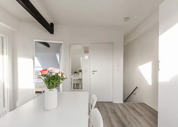 T&k - 1 To 4 - 20min To Tradefair Messe Airport Duesseldorf * 杜伊斯堡